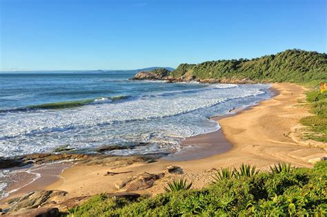 brazilian beach nudes|Beach in Brazil for naturists photo gallery [ギャラリーヌーディズム]